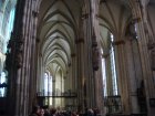 050-DSC04937.JPG.small.jpeg