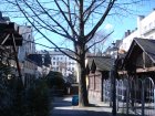 117-DSC05013.JPG.small.jpeg