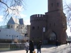 154-DSC05053.JPG.small.jpeg