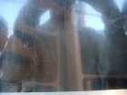 175-DSC05074.JPG.small.jpeg