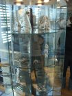 182-DSC05083.JPG.small.jpeg