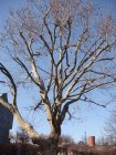248-DSC05160.JPG.small.jpeg