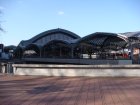 251-DSC05163.JPG.small.jpeg