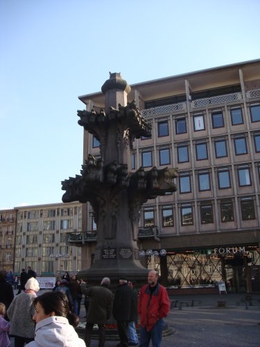 254-DSC05166.JPG.medium.jpeg
