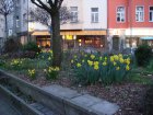 314-DSC05241.JPG.small.jpeg