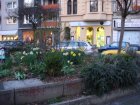 315-DSC05242.JPG.small.jpeg