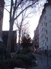 320-DSC05247.JPG.small.jpeg