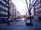 323-DSC05250.JPG.small.jpeg