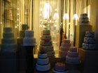 333-DSC05263.JPG.small.jpeg