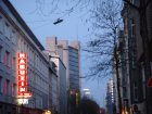 338-DSC05268.JPG.small.jpeg