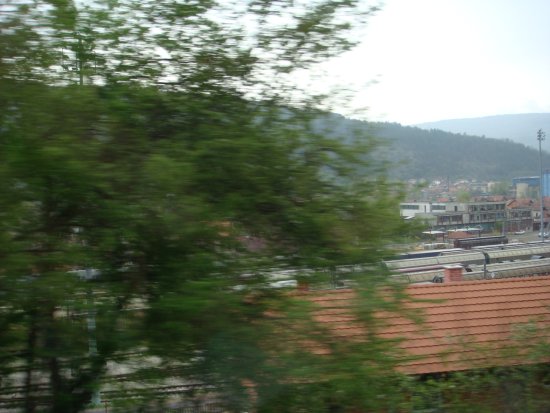019-dsc00083.jpg.medium.jpeg