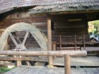 1002-dsc01120.jpg.small.jpeg