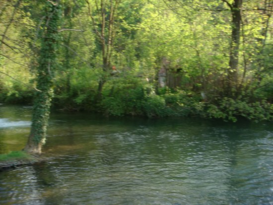 1009-dsc01127.jpg.medium.jpeg