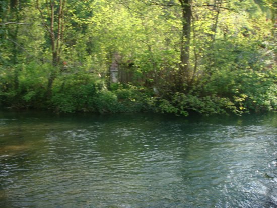 1010-dsc01128.jpg.medium.jpeg