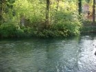 1011-dsc01129.jpg.small.jpeg