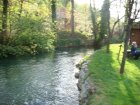 1013-dsc01131.jpg.small.jpeg