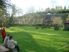 1016-dsc01134.jpg.small.jpeg