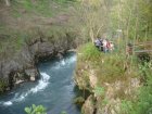 1036-dsc01154.jpg.small.jpeg
