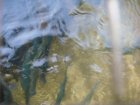 1040-dsc01158.jpg.small.jpeg