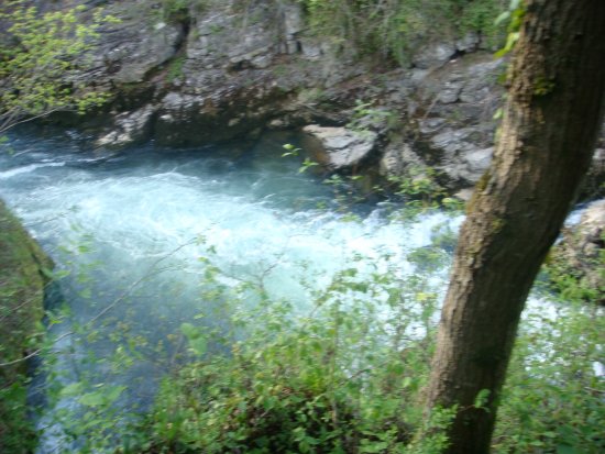 1046-dsc01164.jpg.medium.jpeg