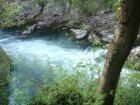 1046-dsc01164.jpg.small.jpeg