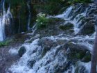 1061-dsc01179.jpg.small.jpeg