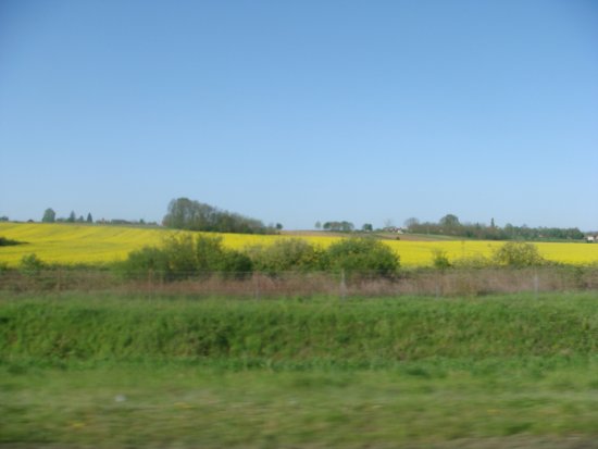 1090-dsc01210.jpg.medium.jpeg