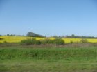 1090-dsc01210.jpg.small.jpeg
