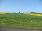1091-dsc01211.jpg.small.jpeg