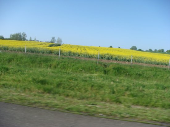 1092-dsc01212.jpg.medium.jpeg