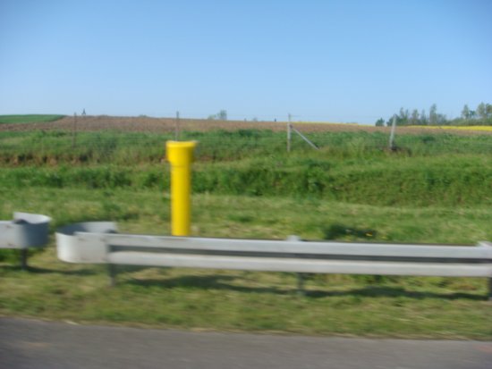 1093-dsc01213.jpg.medium.jpeg
