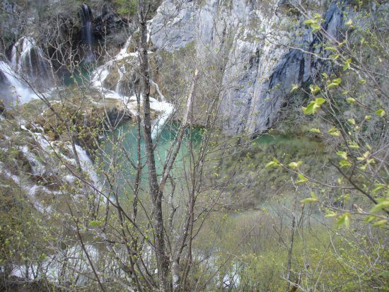 1125-p1110244.jpg.medium.jpeg