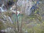 1125-p1110244.jpg.small.jpeg