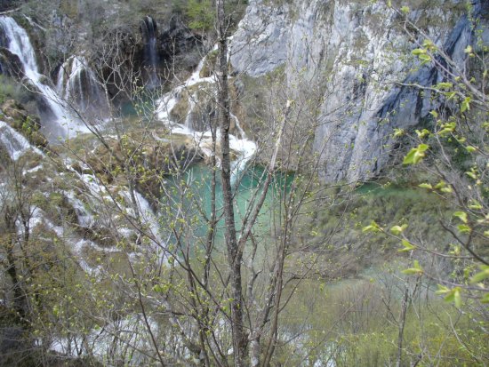 1126-p1110245.jpg.medium.jpeg