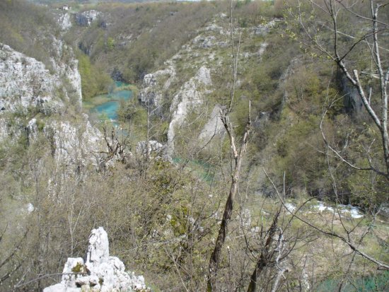 1291-p1110412.jpg.medium.jpeg