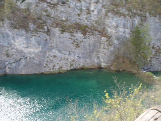 1355-p1110477.jpg.medium.jpeg