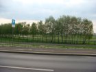 147-dsc00229.jpg.small.jpeg