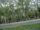 149-dsc00231.jpg.small.jpeg