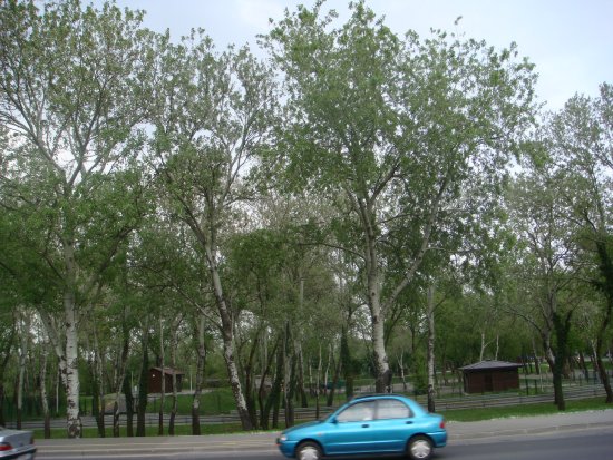 150-dsc00232.jpg.medium.jpeg