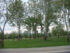 156-dsc00239.jpg.small.jpeg
