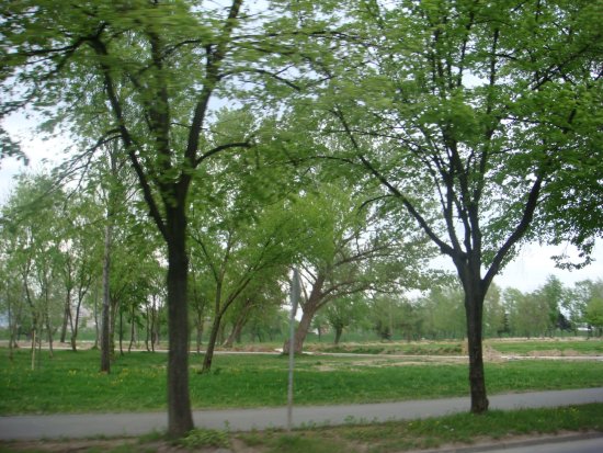 157-dsc00240.jpg.medium.jpeg