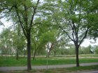 157-dsc00240.jpg.small.jpeg