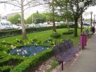 194-dsc00282.jpg.small.jpeg