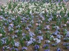 221-dsc00311.jpg.small.jpeg