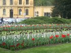 222-dsc00312.jpg.small.jpeg