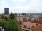 252-dsc00343.jpg.small.jpeg