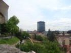 253-dsc00344.jpg.small.jpeg