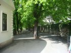 256-dsc00347.jpg.small.jpeg