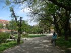 300-dsc00391.jpg.small.jpeg