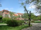 301-dsc00392.jpg.small.jpeg